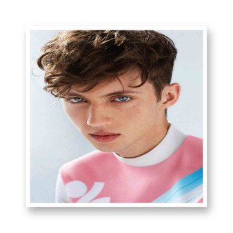 Troye Sivan Face White Transparent Kiss-Cut Stickers Vinyl Glossy