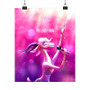 Gazelle Zootopia Silky Poster Satin Art Print Wall Home Decor