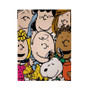 The Peanuts Gang Custom Velveteen Plush Polyester Blanket Bedroom Family