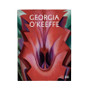 Georgia O Keeffe Polyester Bedroom Family Velveteen Plush Blanket