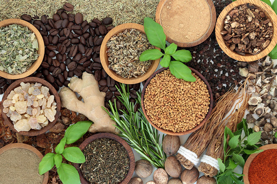 Nature's Healing Harmony for Organ Wellness! Nature's Healing Harmony for Organ Wellness!