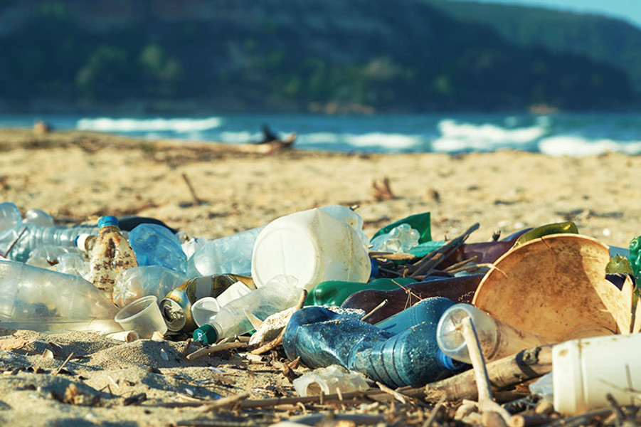 Top 10 Countries Responsible for Plastic Pollution and How We Can Make a Difference at Fresh Harvest Market