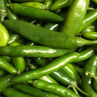 <meta charset="utf-8"><span data-mce-fragment="1">The <strong>Serrano Chili Pepper</strong> is a small, slender, green to red chili known for its moderately hot and bright flavor. It is commonly used in Mexican cuisine to add a spicy kick to salsas, sauces, and a variety of dishes. Serrano peppers can be diced or sliced and added to enhance the heat and flavor of Mexican and Tex-Mex dishes, and they provide a bold, zesty element to the culinary creations in which they are used.</span><br>