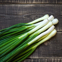 <meta charset="utf-8"><meta charset="utf-8"><span data-mce-fragment="1"><strong>Green Onions</strong>, also known as scallions, are a type of allium vegetable that are typically characterized by their long, slender green stalks and small white bulbs. They have a mild onion flavor that is less pungent than traditional onions, making them a popular ingredient in a variety of dishes. Green onions are often used as a garnish or added to salads, soups, stir-fries, and other savory dishes to add a fresh, crisp, and slightly sweet flavor. They are also high in vitamin K, vitamin C, and folate, making them a nutritious addition to any diet. Overall, green onions are a versatile and flavorful vegetable that are a staple in many kitchens around the world.</span><br>