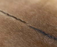Solid Color Goatskin