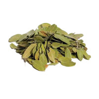 Uva ursi leaf whole wild crafted