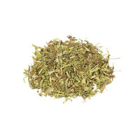 Stevia leaf c/s