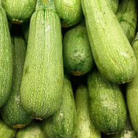 Mexican Squash - Organic