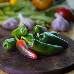 <span data-mce-fragment="1"><strong>Jalapeño</strong> <strong>Peppers</strong> are a spicy sensation, delivering the iconic heat of jalapeños with an early harvest advantage. These compact, bushy plants produce vibrant green peppers that mature quickly, allowing for a prompt harvest of fiery flavor. With a Scoville heat rating ideal for those who appreciate a kick without overwhelming intensity, Jalapeño peppers are perfect for salsas, pickling, and culinary creations that crave a bold, zesty punch. From garden to table in record time, these peppers redefine the thrill of homegrown spiciness, making every dish a celebration of vibrant, early-season heat.</span>