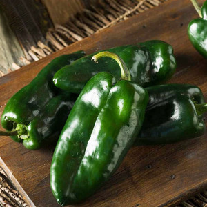 <meta charset="utf-8"><span data-mce-fragment="1">The <strong>Poblano Chili Pepper</strong> is a mild to moderately spicy chili known for its dark green color and rich, earthy flavor. It's a key ingredient in Mexican cuisine and is often used for making dishes like chiles rellenos and mole sauce. Poblanos can be roasted, peeled, and stuffed, or used to add a slightly smoky, mild heat to sauces, stews, and various Mexican and Tex-Mex dishes, making them a versatile and flavorful ingredient in many recipes.</span><br>