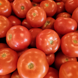 <meta charset="utf-8"><span data-mce-fragment="1">The <strong>Beefsteak Tomato</strong> is a large and meaty tomato variety, often with irregular, rugged shapes. It's known for its juicy, sweet flavor and is commonly used for slicing and making sandwiches or in salads. Beefsteak tomatoes are popular in cooking due to their substantial size and rich, tomatoey taste, making them a favored choice for hamburgers, BLTs, and other dishes where a robust tomato flavor is desired.</span><br>