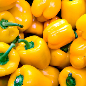 <meta charset="utf-8"><span data-mce-fragment="1"><strong>Yellow Bell Peppers</strong> are a sweet pepper variety characterized by their bright yellow skin, crisp texture, and mild, slightly sweet flavor. They are often used in cooking and salads to add a pop of color and a subtly sweet taste to various dishes. Yellow bell peppers are particularly favored for their vibrant appearance and their ability to provide a mild, fruity note that complements both savory and sweet recipes.</span><br>