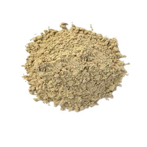 Angelica Root powder