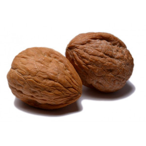 <span data-mce-fragment="1"><strong>Fresh Harvest Market's Black Walnut Hull</strong> is a natural supplement sourced from the husks of black walnuts, renowned for their historical use in traditional herbal practices. This high-quality product offers a convenient way to incorporate the potential benefits of black walnut hulls into your wellness routine. Known for its rich content of bioactive compounds, black walnut hull has been historically associated with various health-promoting properties. Experience the wholesome goodness of Fresh Harvest Market's Black Walnut Hull and embrace the natural support it may provide for your well-being.</span>