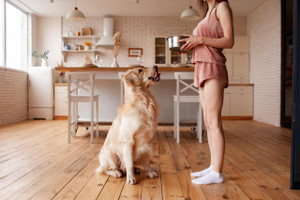 Fresh4Dogs - Dog Food