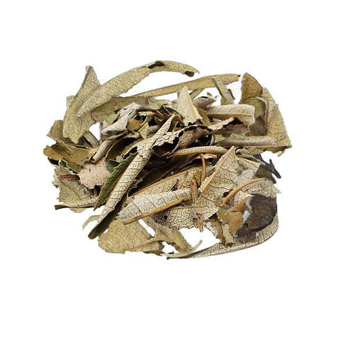 Yerba Santa Leaf Whole, Wild Crafted