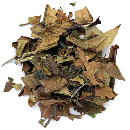 White Tea Organic 4oz