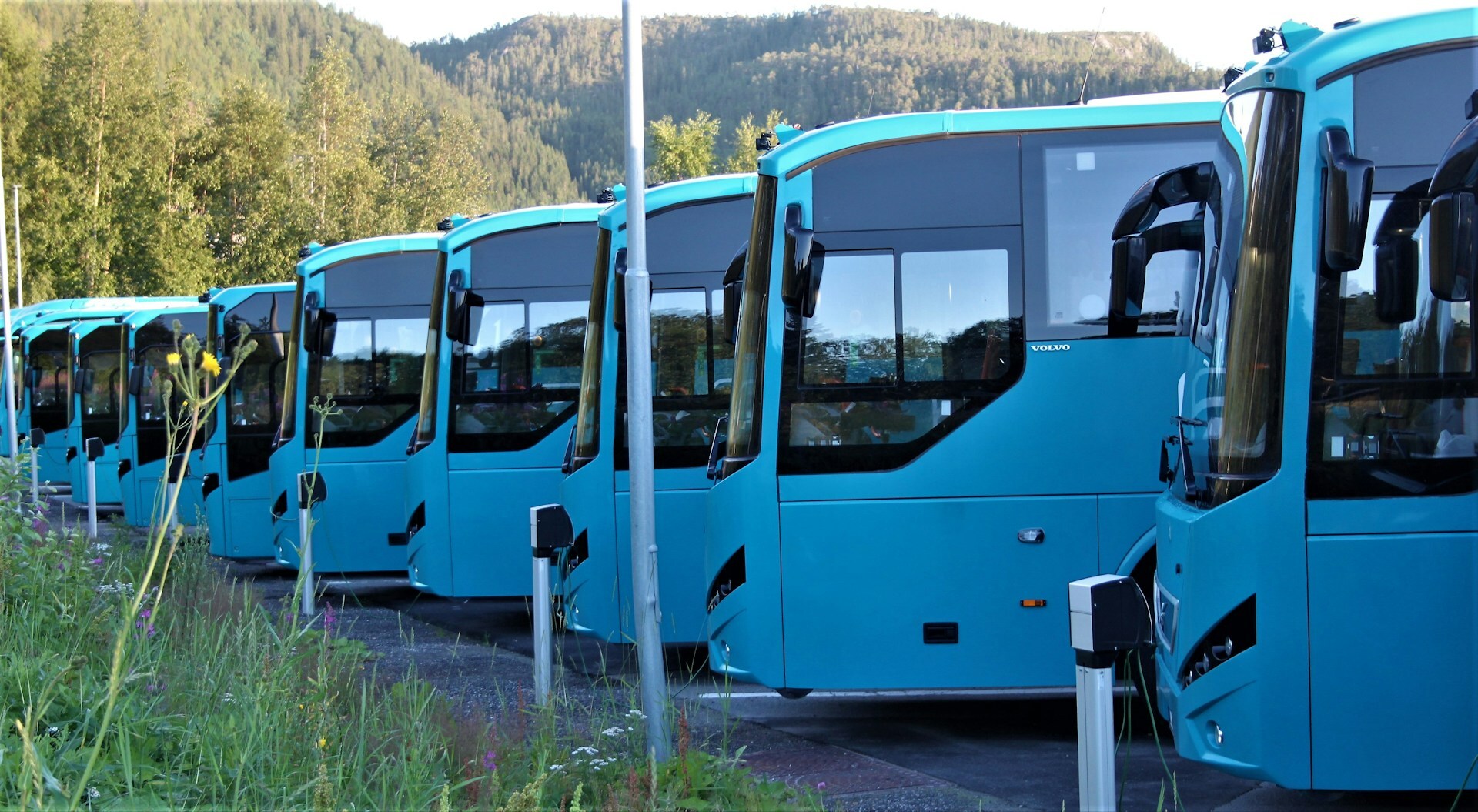 A fleet of bright turquoise tour buses parked next to a hill