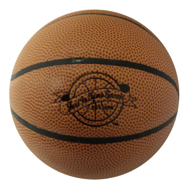Mini Pro Ultimate Basketball Hoop Set LTP