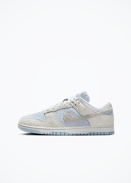 Nike Dunk Low Retro - FZ3779-025 - Photon Dust/Lt Smoke Grey-Lt Armory Blue