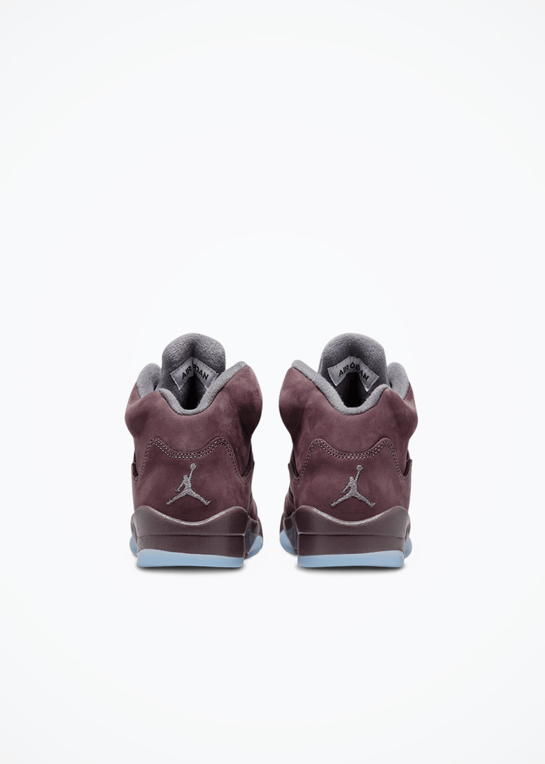 Air Jordan 5 Retro SE (GS) - FN4233-600