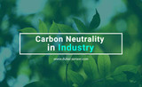 Carbon Neutrality in Industry