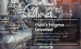 Fluid's Enigma Unveiled: The Magnetic Forces of Stagnation, Static, and Dynamic Pressure