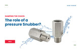 Damping the Chaos: The Role of a Pressure Snubber