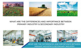 WHAT ARE THE DIFFERENCES AND IMPORTANCE B/W PRIMARY INDUSTRY & SECONDARY INDUSTRY?