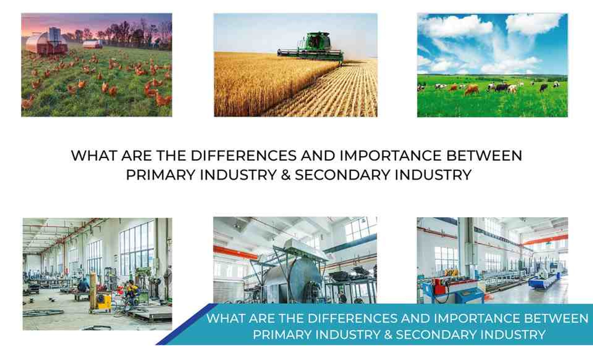 WHAT ARE THE DIFFERENCES AND IMPORTANCE B/W PRIMARY INDUSTRY