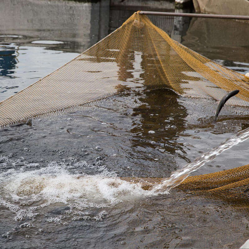 Level Sensors Designed for Monitoring the Level of Water in Fish Farms