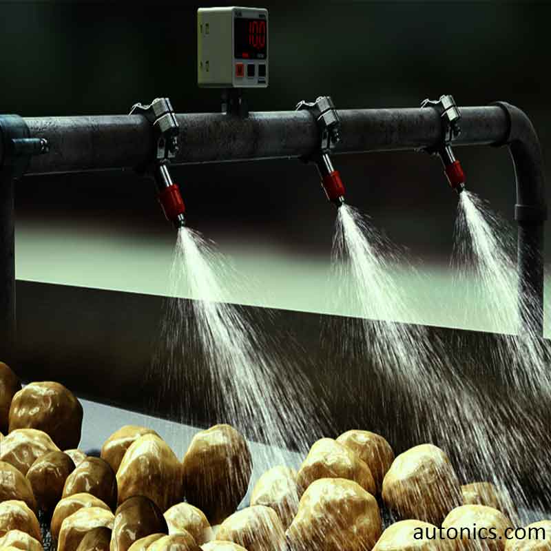 Potato-Washing-Conveyors