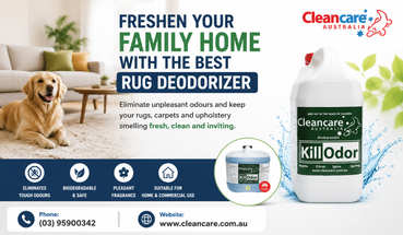 Freshen Your Family Home With the Best Rug Deodorizer