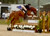 A Little Bit of Trouble