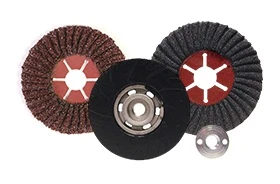 Semi-Flexible Discs