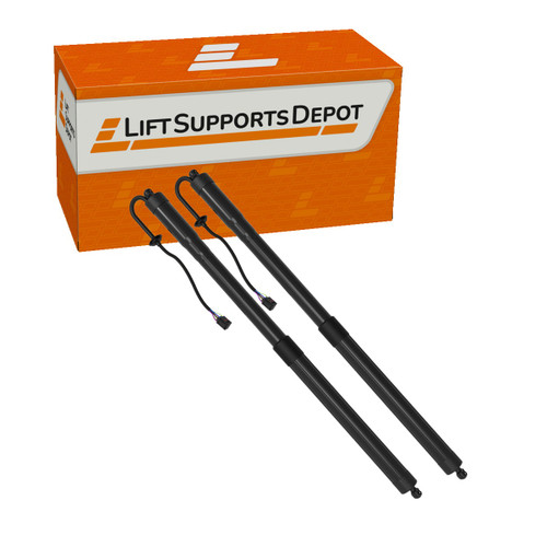 905603JA0A, PM9973 compatible Lift Supports Depot Lift Support