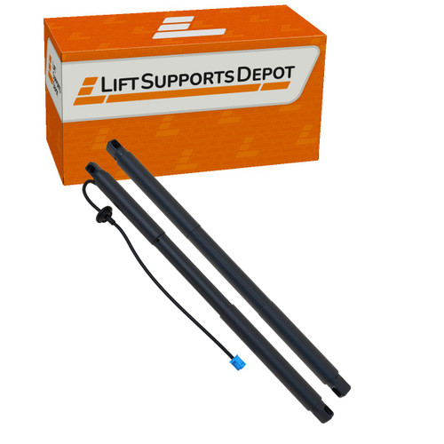 PM10013Kit compatible Lift Supports Depot Lift Support