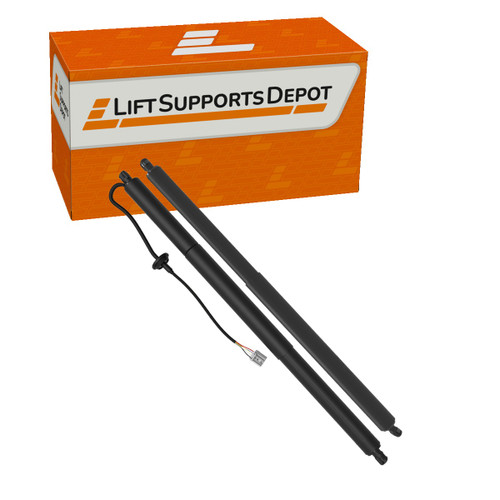 164801600B,  1648016-00-B,  6006610-00-C,  60066100C, PM10014Kit compatible Lift Supports Depot Lift Support