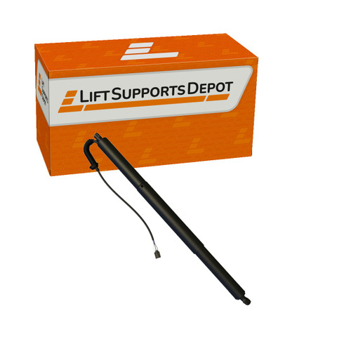 81831CV100, PM10067L compatible Lift Supports Depot Lift Support