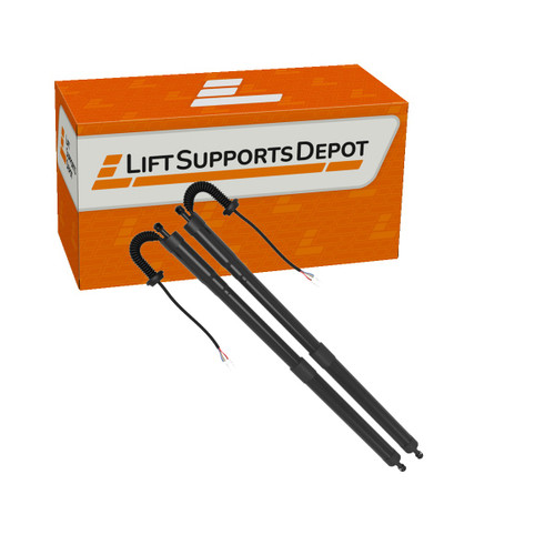 PM10071Kit compatible Lift Supports Depot Lift Support