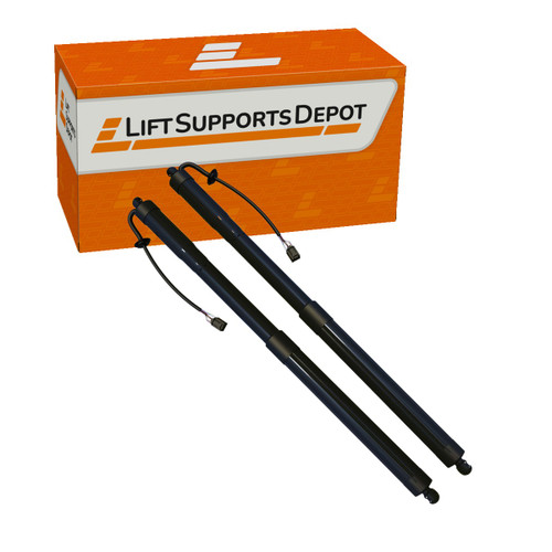 PM10064Kit compatible Lift Supports Depot Lift Support