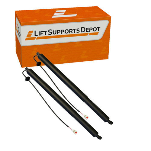 PM10069Kit compatible Lift Supports Depot Lift Support