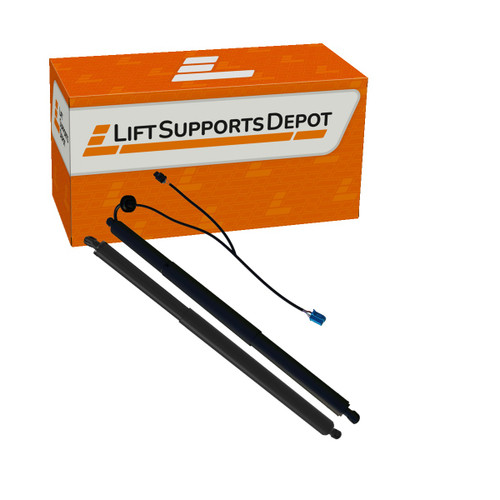 A1178900130,  A1179800564, PM10053Kit compatible Lift Supports Depot Lift Support