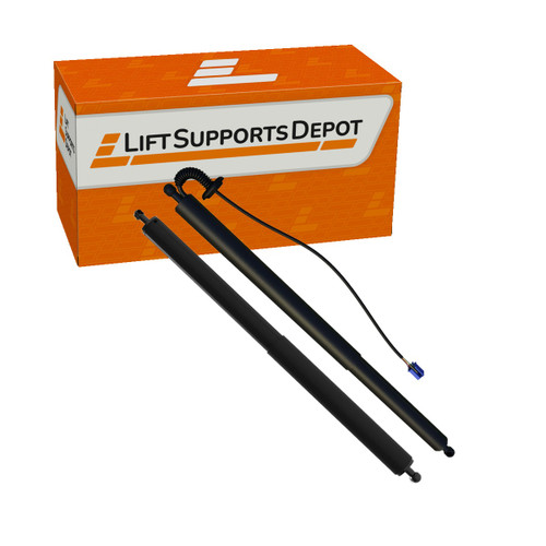 A167890100,  A1679800564, PM10054Kit compatible Lift Supports Depot Lift Support