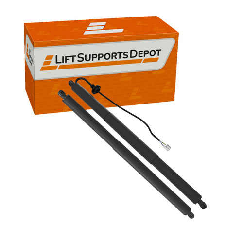 150060200A,  155006100A, PM10025Kit compatible Lift Supports Depot Lift Support