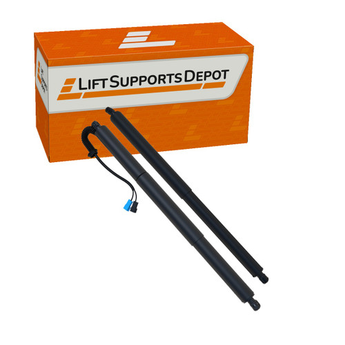 Lift Supports Depot PM9938Kit Lift Support  | PM9938Kit-W