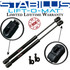 SG414062 compatible Stabilus Lift Support
