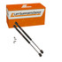 004106, 017090, 249043, 4096, 434503, 6303, 82212094, PM1008Kit3, SG414051 compatible Lift Supports Depot Lift Support