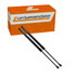 95985322,  95985321, PM4028 compatible Lift Supports Depot Lift Support