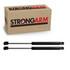 2004-2009 Cadillac XLR Trunk Lid Lift Support